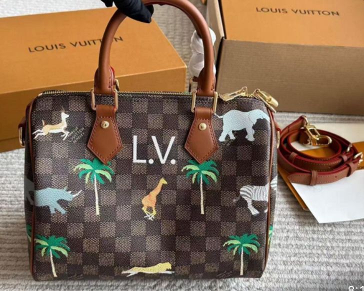Louis Vuitton Women's Bag