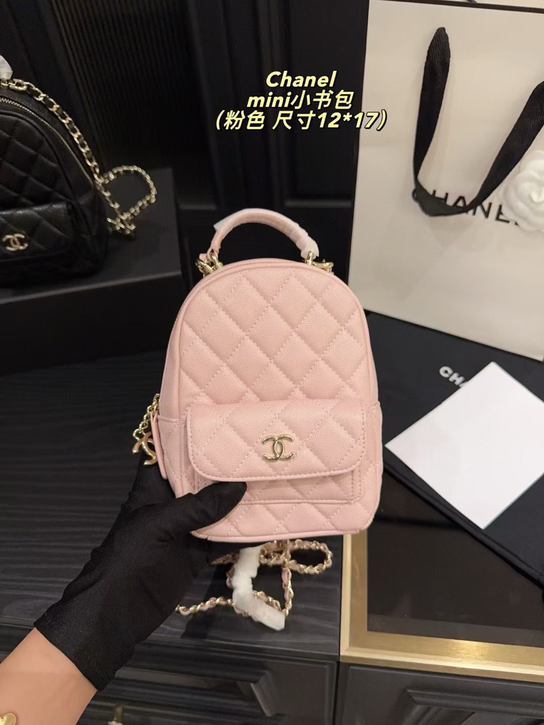 Channel Women's Bag