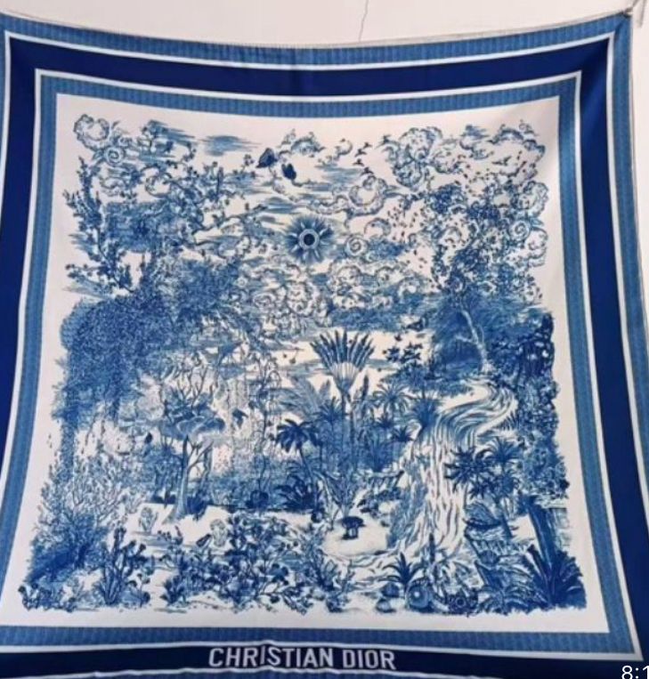 Dior Women's Scarf