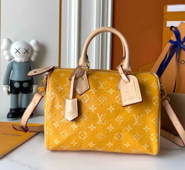 Louis Vuitton Women's Bag